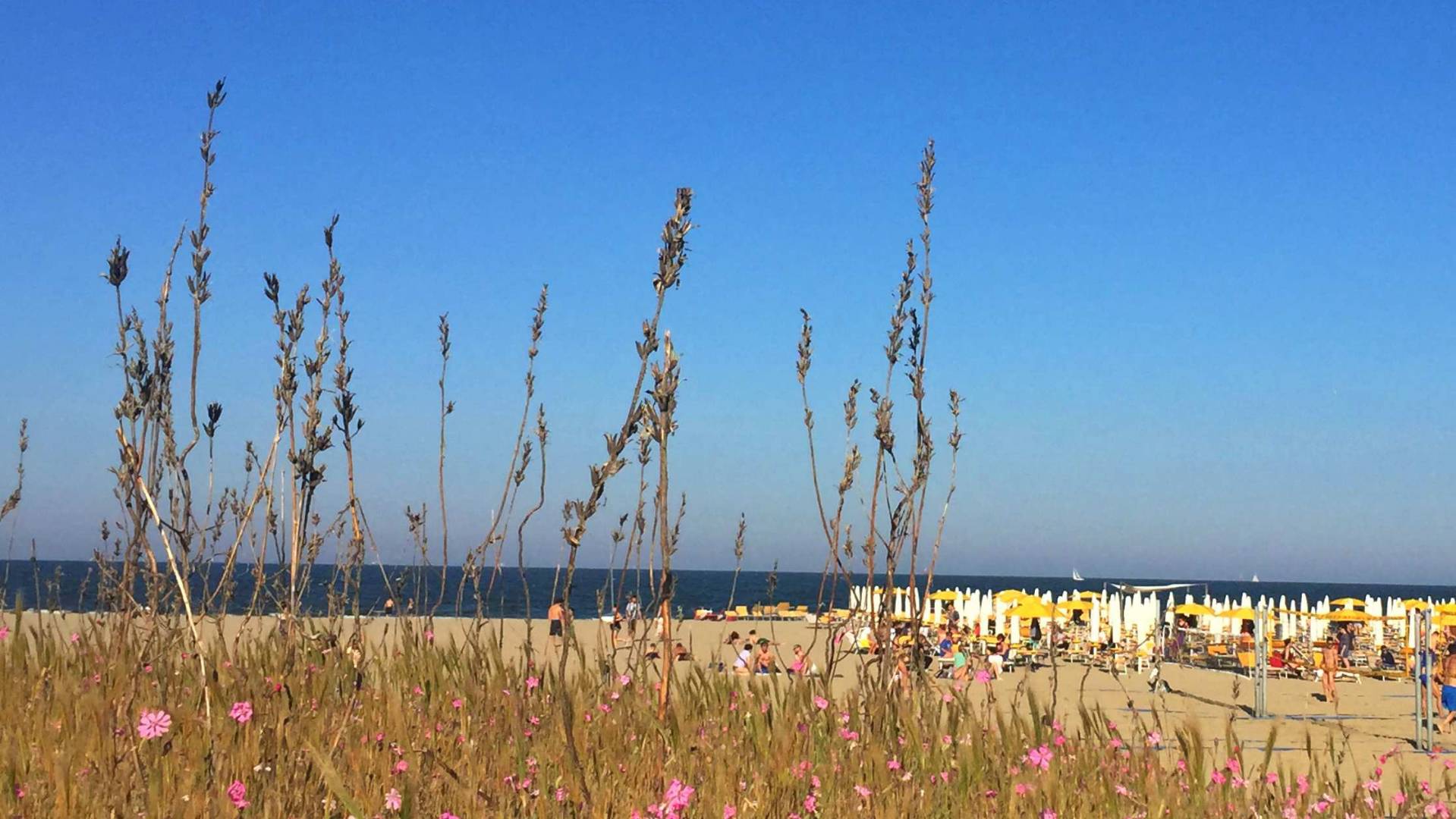 Marina di ravenna - Cesenatico: bici e barca - 