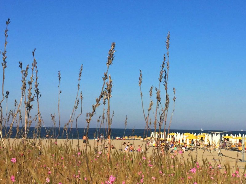 Marina di ravenna - Cesenatico: bici e barca - 