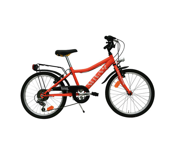 Bicicletta da bambino